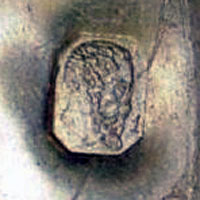 La tête de vieillard (Paris, Titre 1) se trouve dans la partie intérieure du couvercle rabattable ainsi que sur le montant de la verseuse près de la prise de couvercle bouton côté droit soit au total deux poinçons identiques.